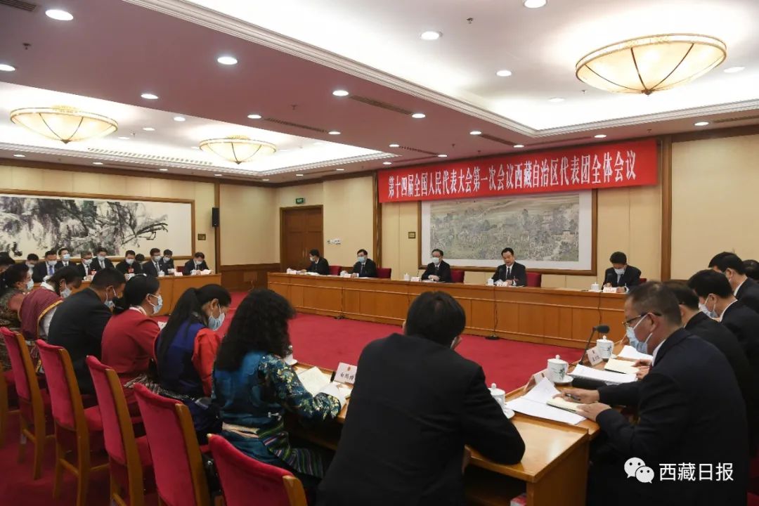西藏代表团举行全体会议审议政府工作报告 张国清参加 王君正主持