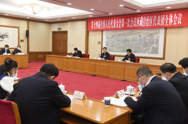 西藏代表团举行全体会议 传达学习习近平总书记重要讲话精神